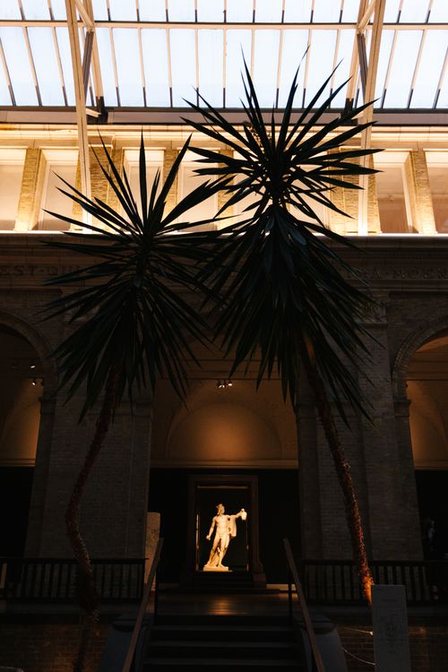 Free Luxurious museum interior featuring a classical statue and towering yucca plants Stock Photo