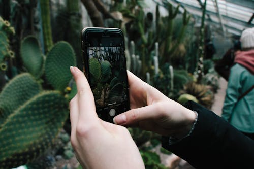 Základová fotografie zdarma na téma focení, mobilní telefon, osoba