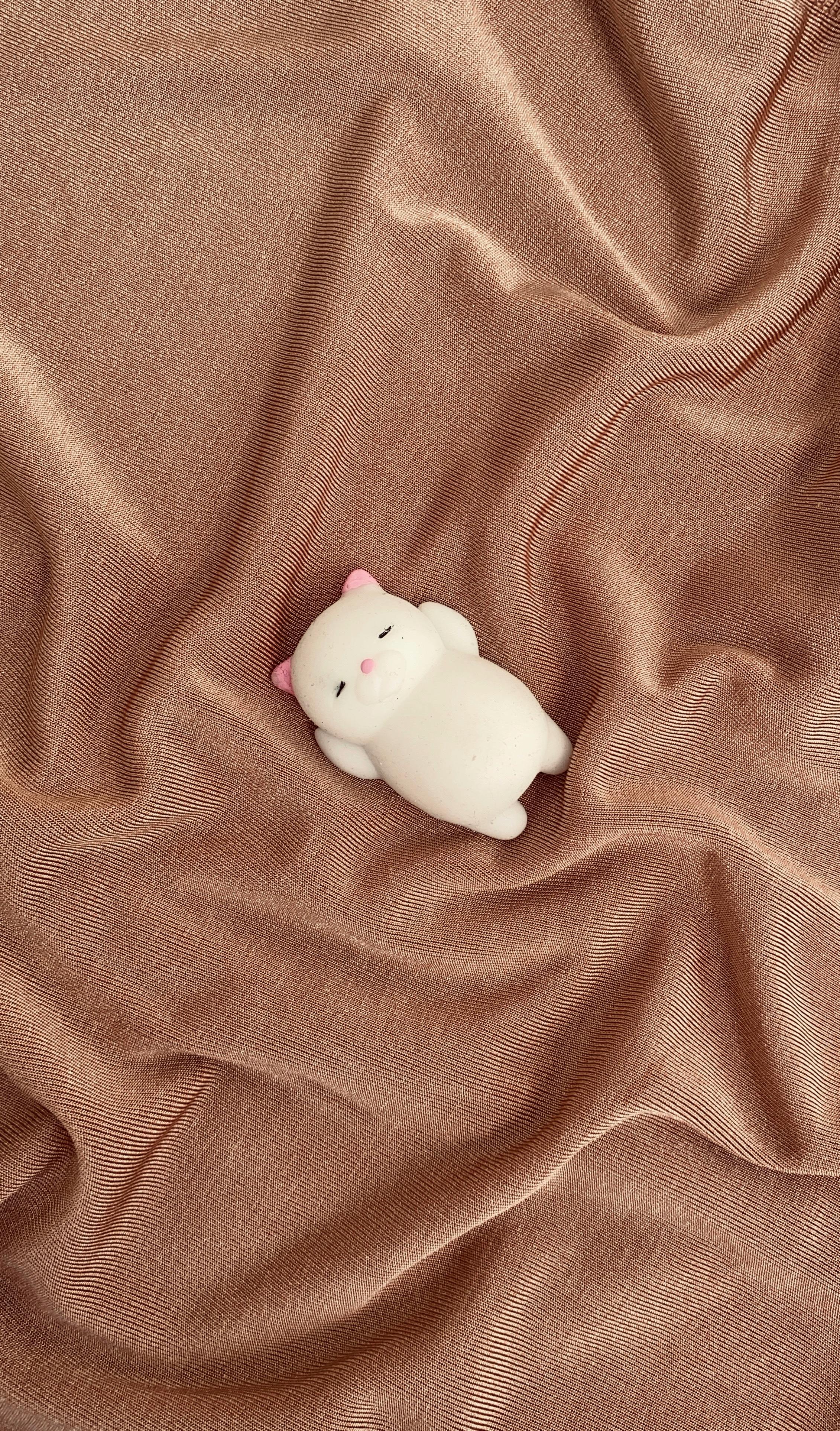 What counties in Ga allow tiny houses?