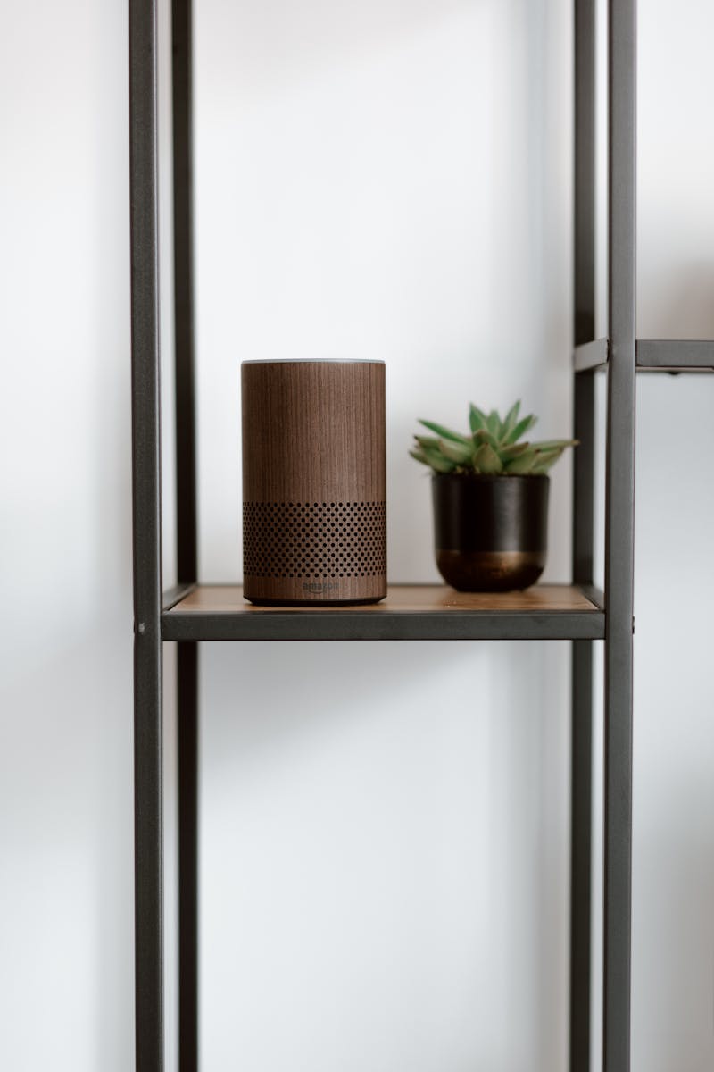 A Brown Speaker on the Shelf