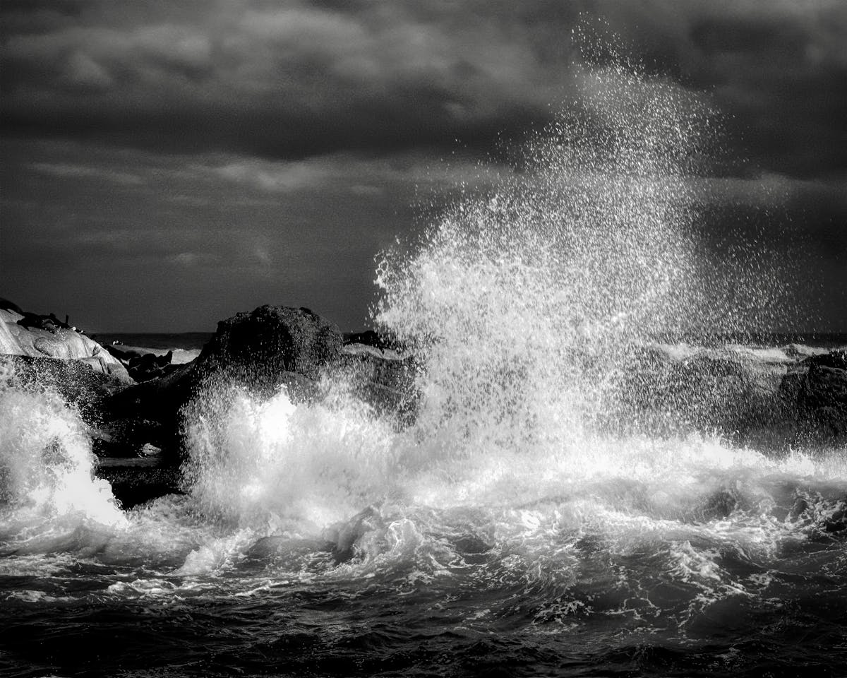 Home cook preparing vegetables on a cutting board in a bright kitchen