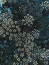 Top view tender Gypsophila Paniculata plants with white tiny flowers on thin stems growing in verdant summer nature
