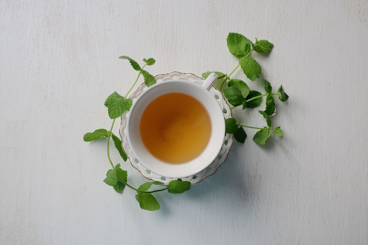 Menthe fraîche : la conserver et bien l'utiliser - Bien utiliser la menthe fraîche en cuisine