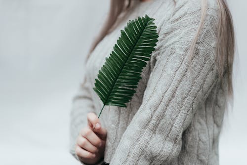 Free Crop anonymous female in casual clothes standing with raised hand with fresh green leaf of fern against light background Stock Photo