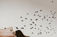 这幅视觉艺术品描绘了鸟儿从一位无脸女人身上飞出的画面，象征着自由