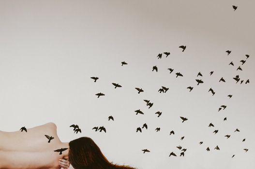 这幅视觉艺术品描绘了鸟儿从一位无脸女人身上飞出的画面，象征着自由