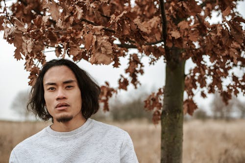 Serious Asian man wearing warm pullover standing in autumn meadow under foliage of tree