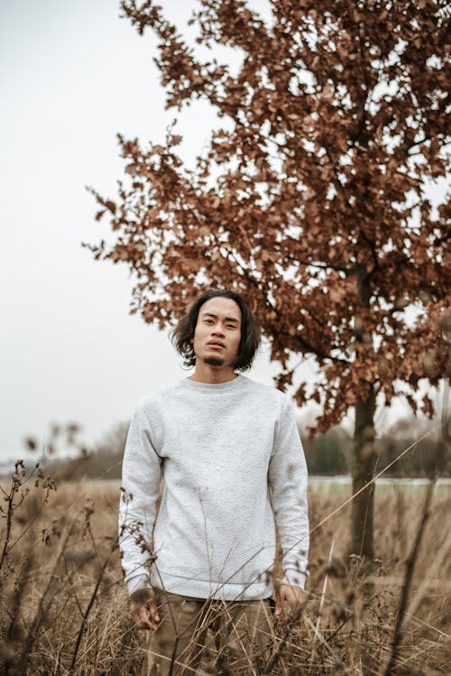 Handsome Asian guy wearing casual clothes standing among tall dry grass and tree in countryside