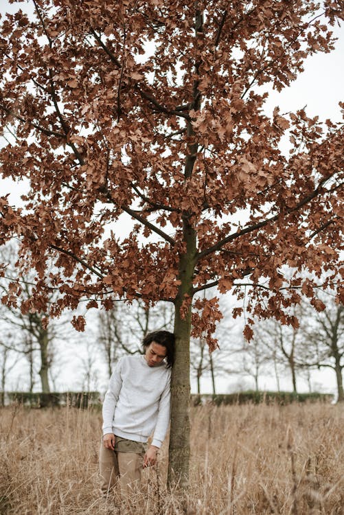 Free Sad male in casual clothes standing among dry grass near tall tree with yellow leaves Stock Photo