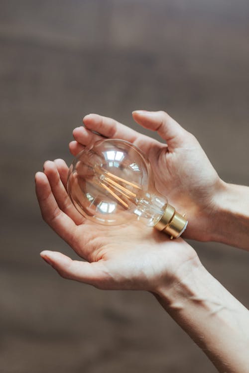 Free Unrecognizable woman demonstrating light bulb in hands Stock Photo