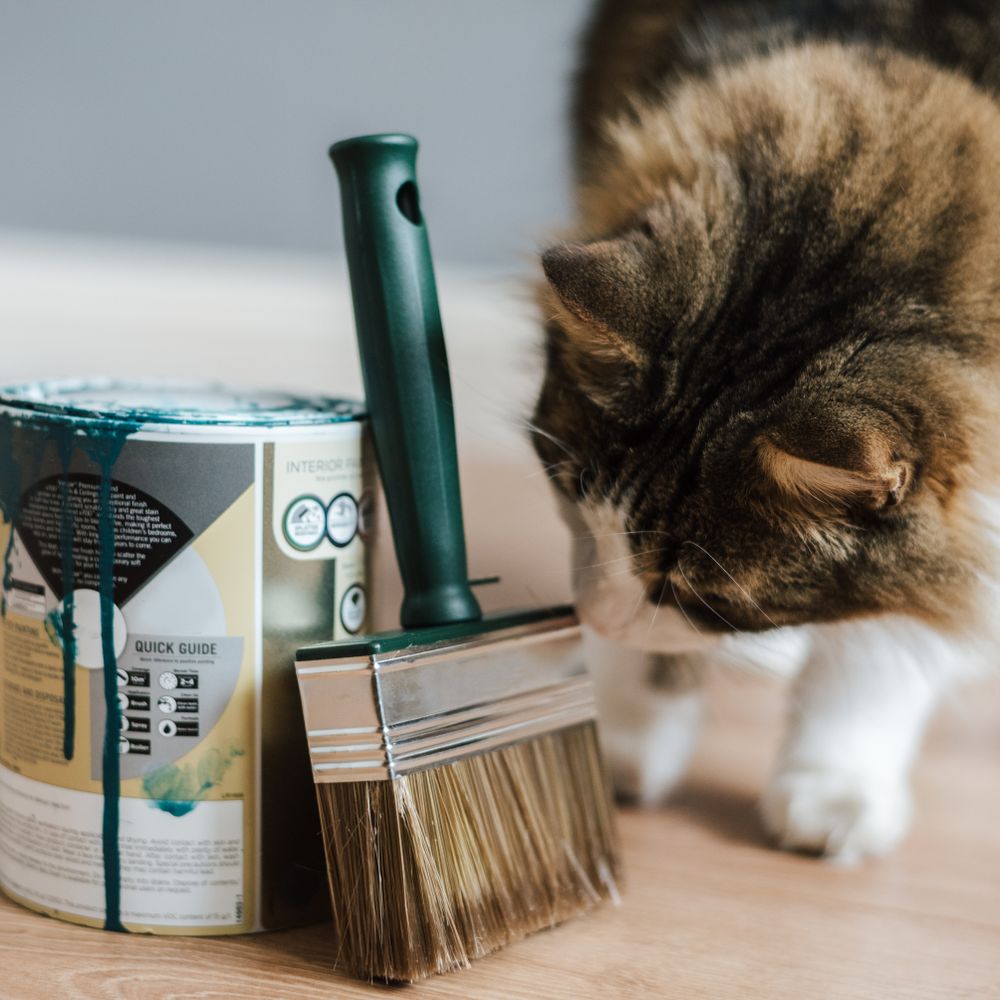 Painters and Decorators in Ealing — woodwork brushed to a crisp, smooth line