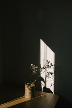 白色嫩花长在细茎上，被系在腰带上，置于光线下的暗室中