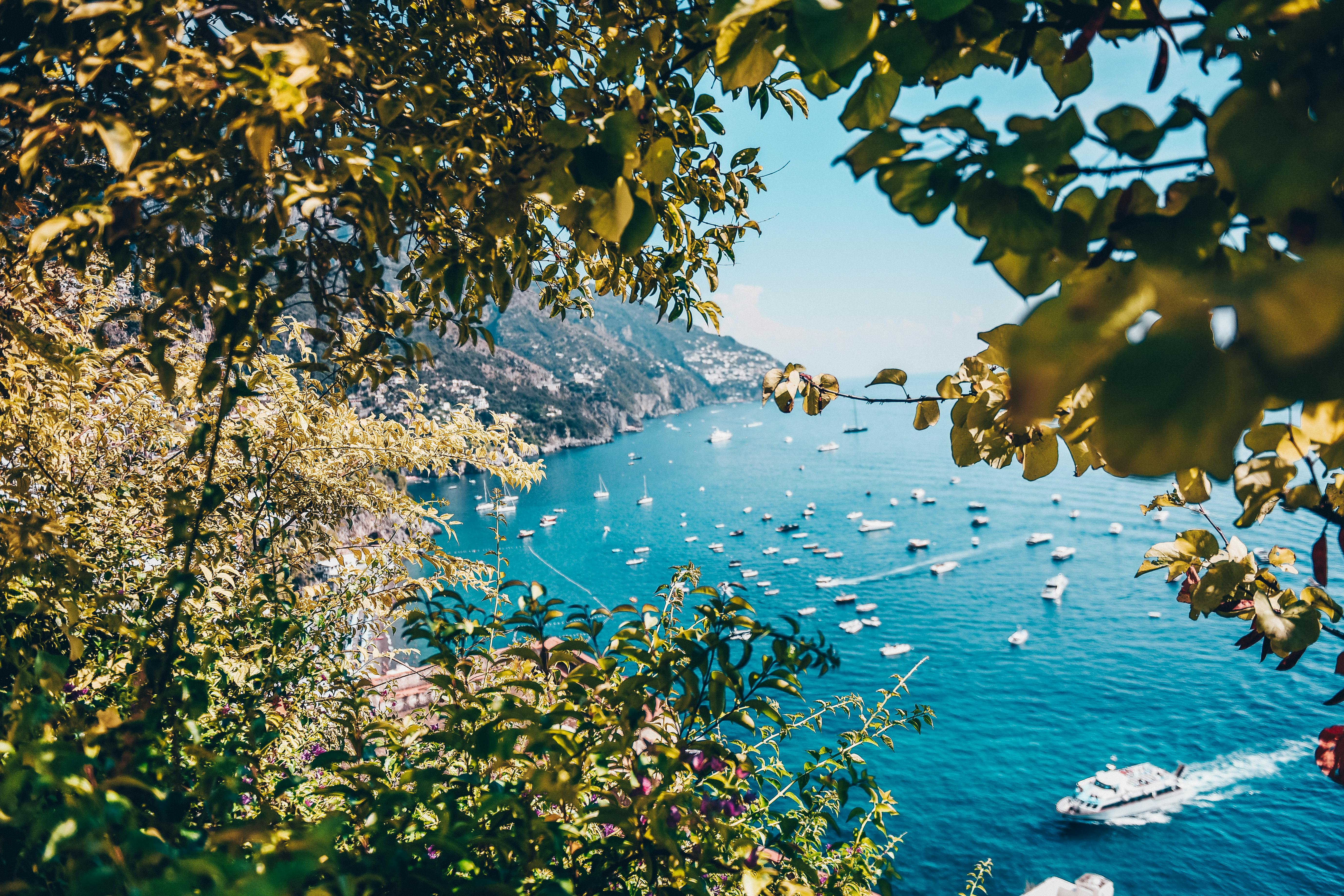 water crafts docked on shore