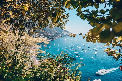 Immagine gratuita di alberi verdi, amalfi, barche