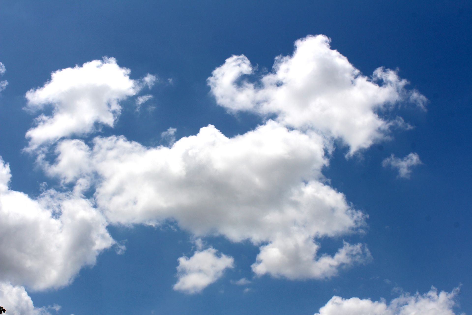 Fluffy white clouds float against a vibrant blue sky, symbolizing tranquility and freedom.