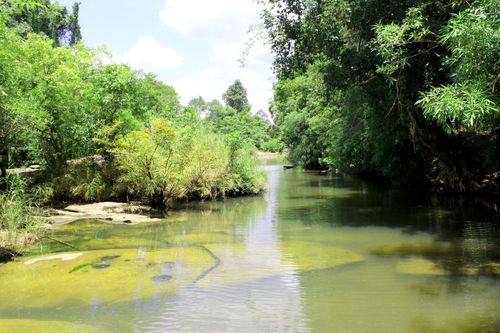 Free Tranquil river scene with lush greenery and reflections under a bright sky. Stock Photo
