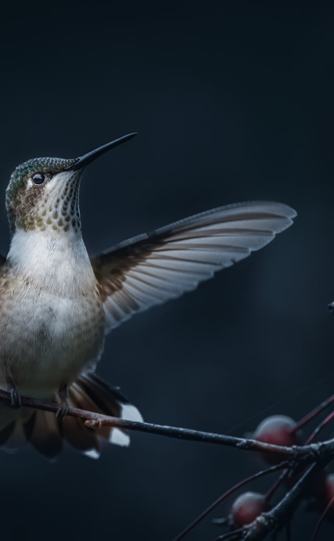 Visual Background Photos, Download The BEST Free Visual Background ...