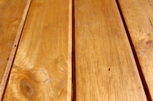 原本, 手撐式(用手掌撐plank), 木板 的 免费素材图片