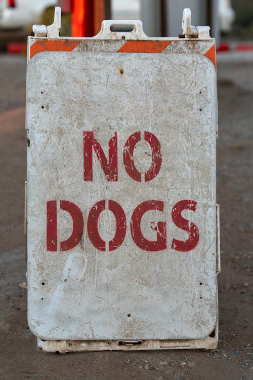 Gratis Foto stok gratis anjing, jalan, kehidupan tenang Foto Stok
