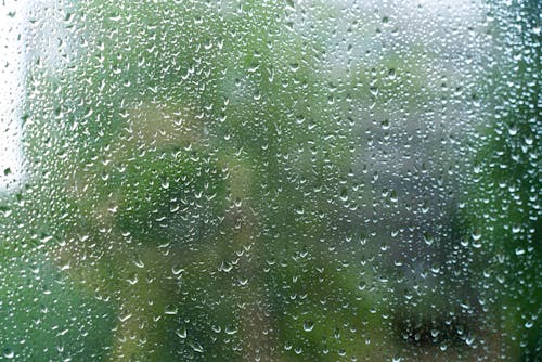 Darmowe zdjęcie z galerii z burza, deszcz, drzewo