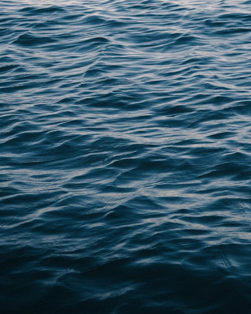 無料 夕方に光沢のある表面を持つ波状の海 写真素材