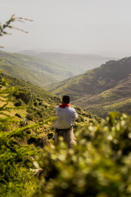 Free A man sitting on a hill, gazing at green mountains and a clear sky. Stock Photo