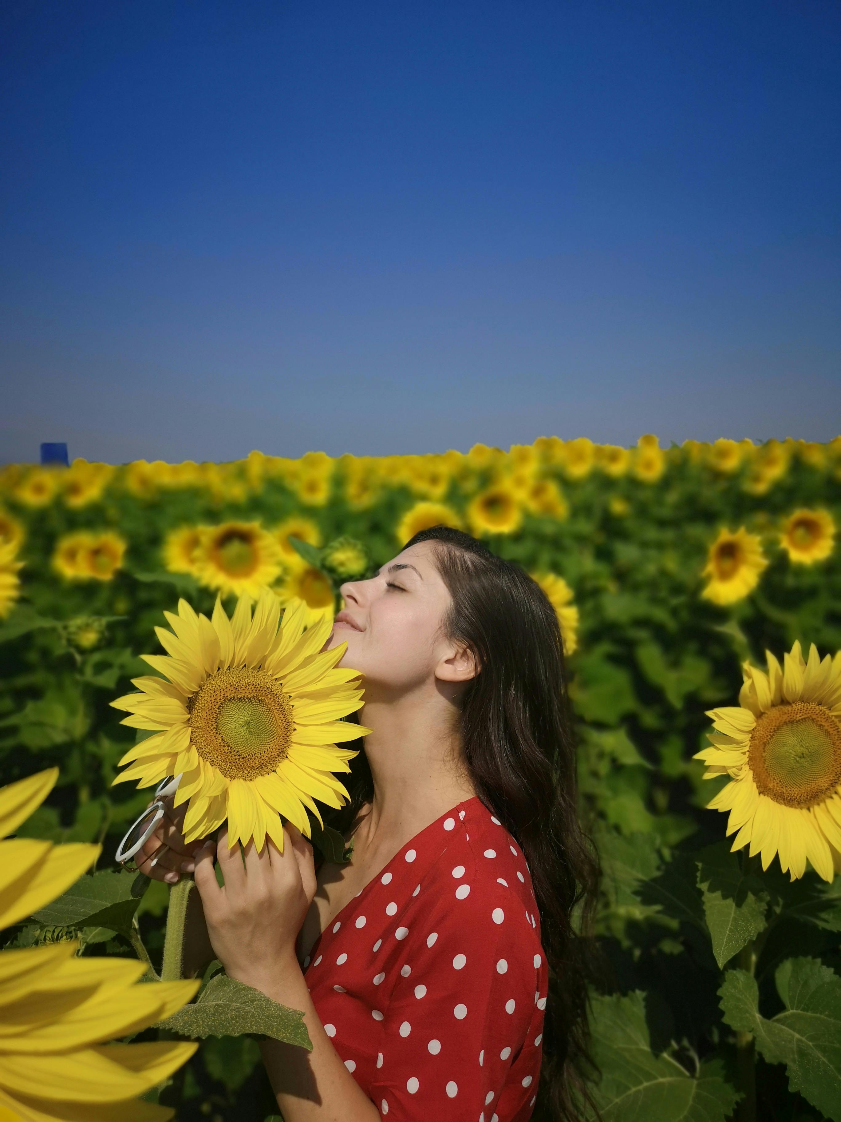 A woman savoring the scent of a sunflower in a vibrant Bulgarian field under a clear summer sky.