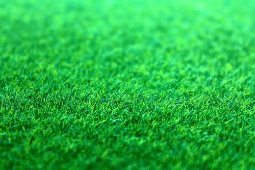 Gratis lagerfoto af bane, græs, græs baggrund Lagerfoto