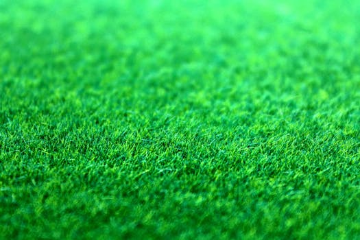 Free stock photo of nature, field, grass, lawn