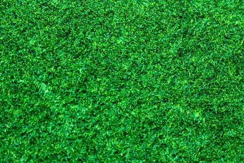 Free Detailed close-up of vibrant green grass texture, perfect for backgrounds and nature themes. Stock Photo