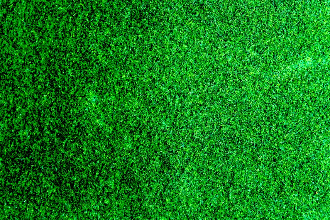 Green Lawn