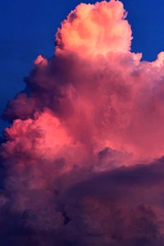 Vibrant, dramatic depiction of pink cumulus clouds against a deep blue sky during daylight.