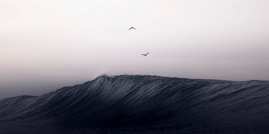 Monochrome image of a dramatic ocean wave with two birds flying overhead, captured in Mar del Plata.