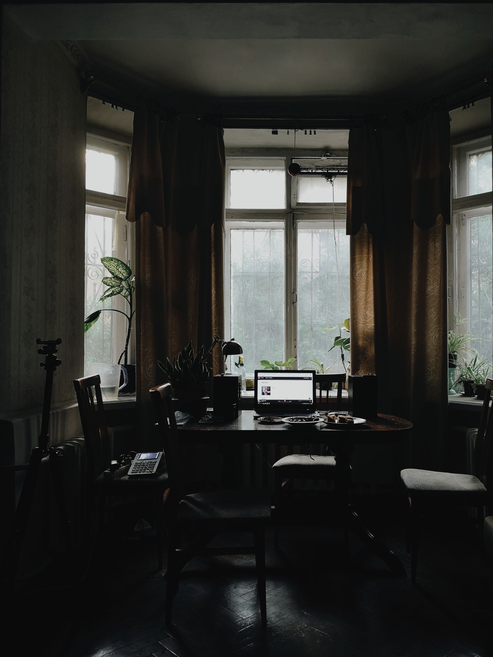 Interior workspace scene with a laptop and home decor.