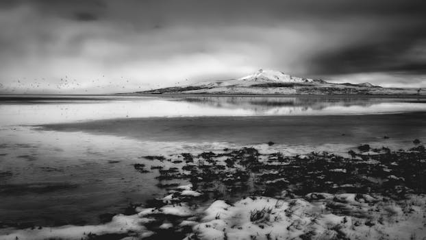 在羚羊岛拍摄的黑白照片中，雪与倒影映衬着犹他州锡拉丘兹的景色