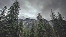 西冰川的山峰和针叶树景色壮丽