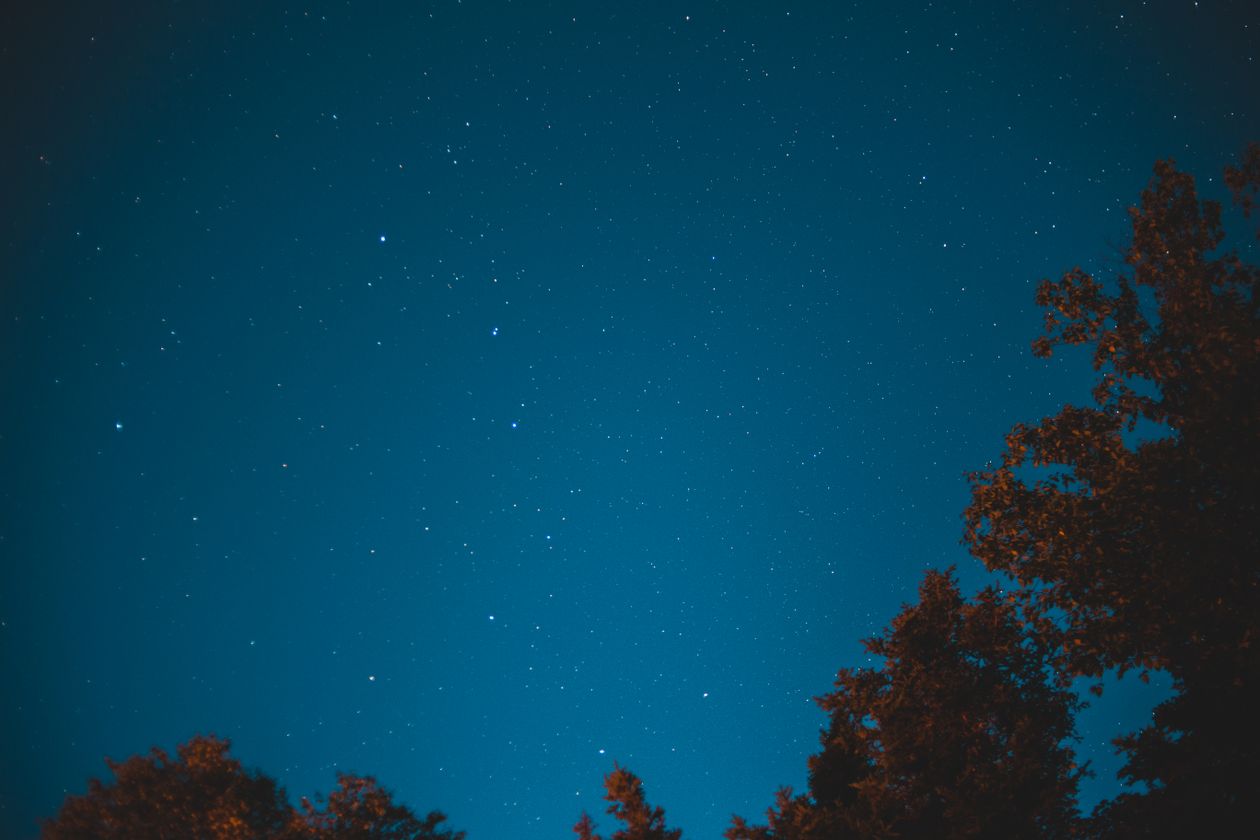 A starry night sky above the dark silhouettes of trees