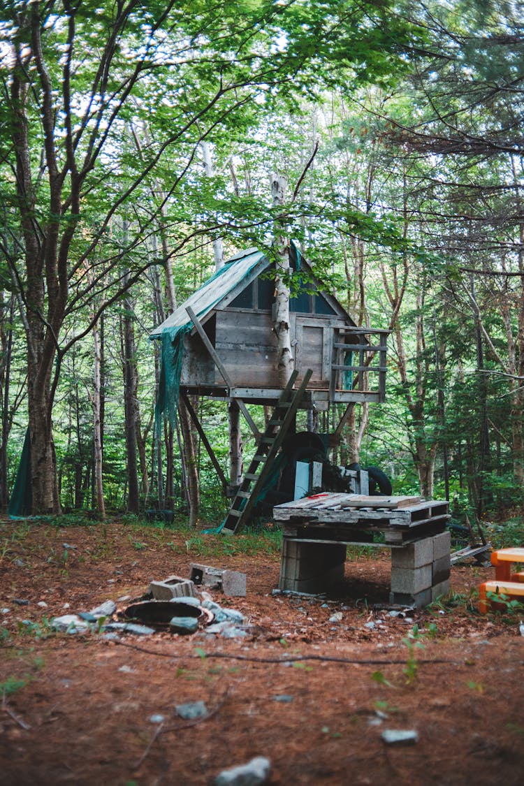 Simple Wooden Treehouse In Forest