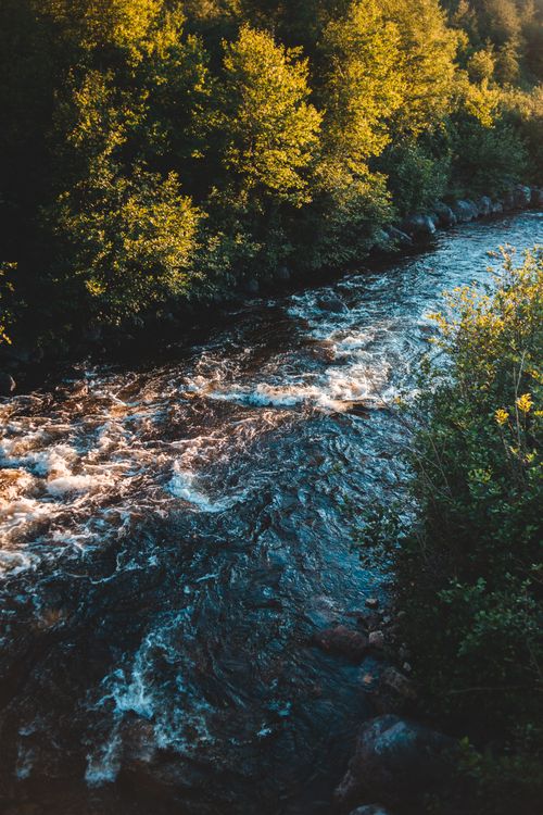Free From above of long narrow mountain river between tall green trees in woodland in summertime Stock Photo