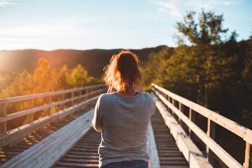 Unrecognizable female in shirt and jeans with highlighted hair tied up on wooden bridge surrounded by greenery in sunlight on blurred background
