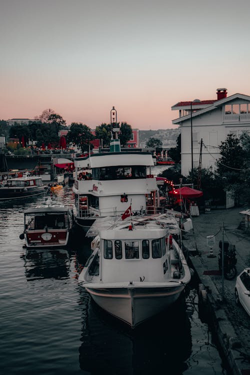 Watercrafts Docked on a Harbor