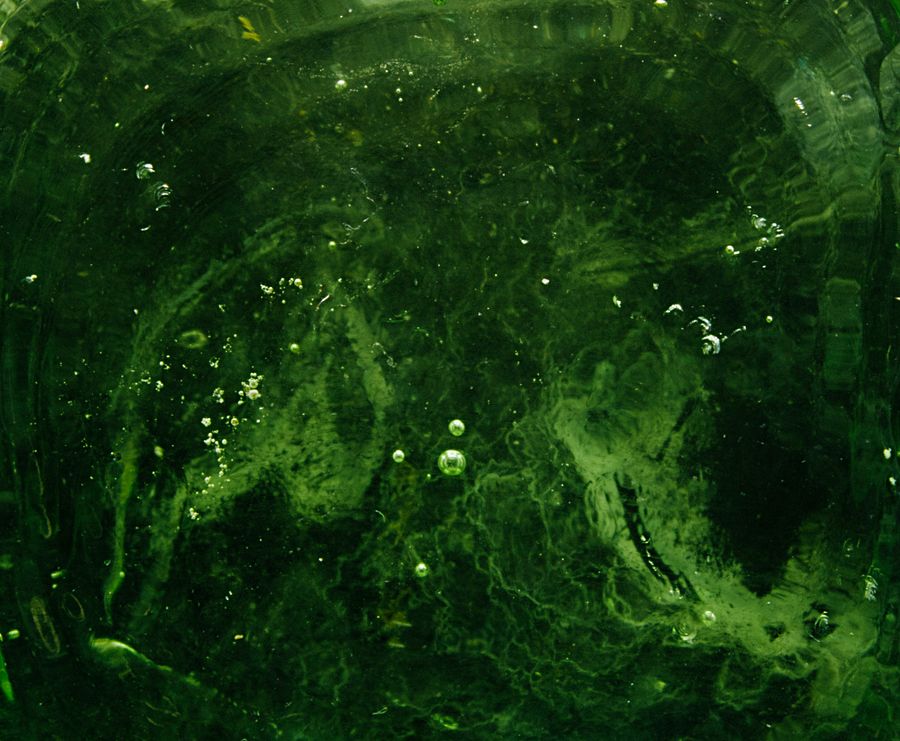 Vibrant green liquid texture with swirling patterns and suspended air bubbles — photo by James Lee on Pexels