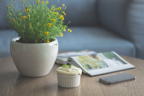 Yellow Flowers Centerpiece on Brown Wooden Coffee Table ]