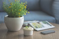 室内环境舒适，配有装饰性植物、甜点、书籍和智能手机