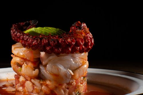 Free stock photo of food, mexican seafood, octopus Stock Photo