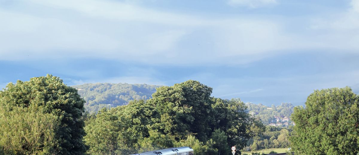 Un tren por el campo