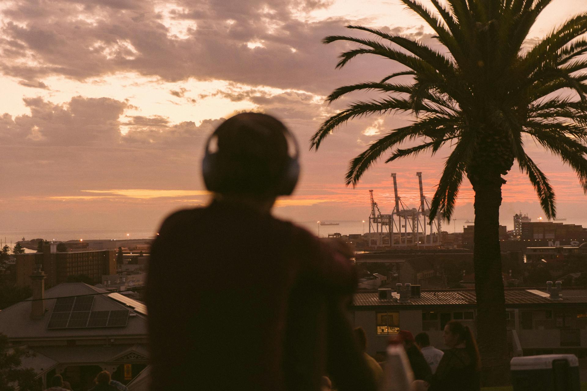 Person with headphones sits under a palm tree overlooking Fremantle port during a warm sunset.