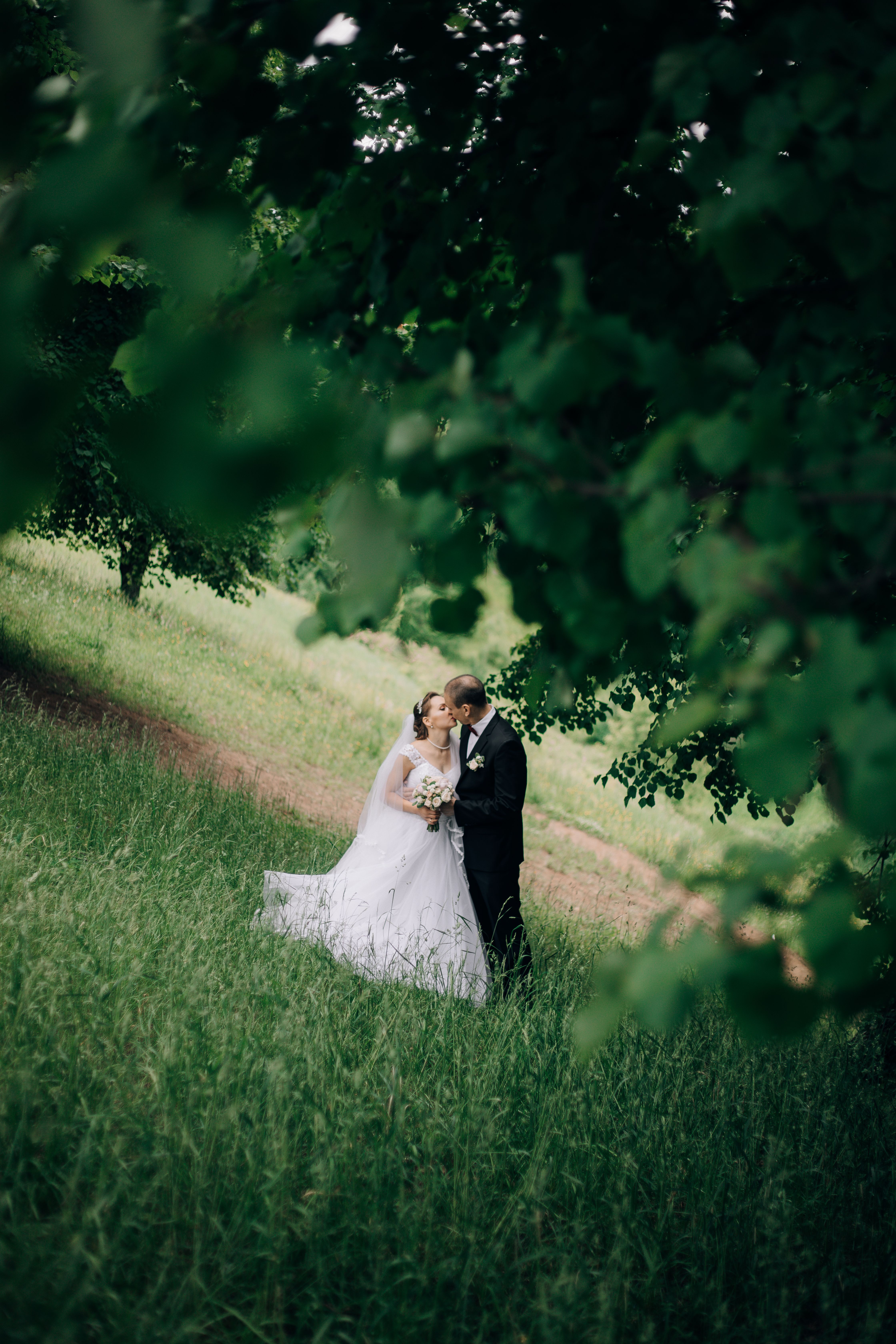 Bride and Groom Kissing Under a Tree · Free Stock Photo