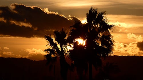 Fotobanka s bezplatnými fotkami na tému coucher de soleil