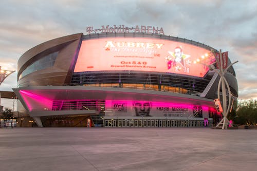 Бесплатное стоковое фото с t-mobile, ufc, ufc 229